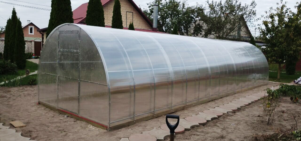 Теплица из поликарбоната от ZavodSPR на садовом участке с грядками овощей.